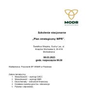 Plan strategiczny WPR