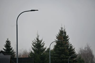 DSC_1937