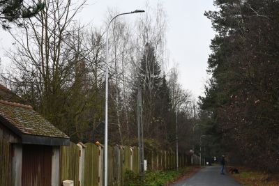 DSC_1942