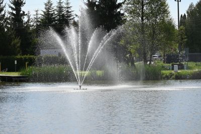 DSC_4082