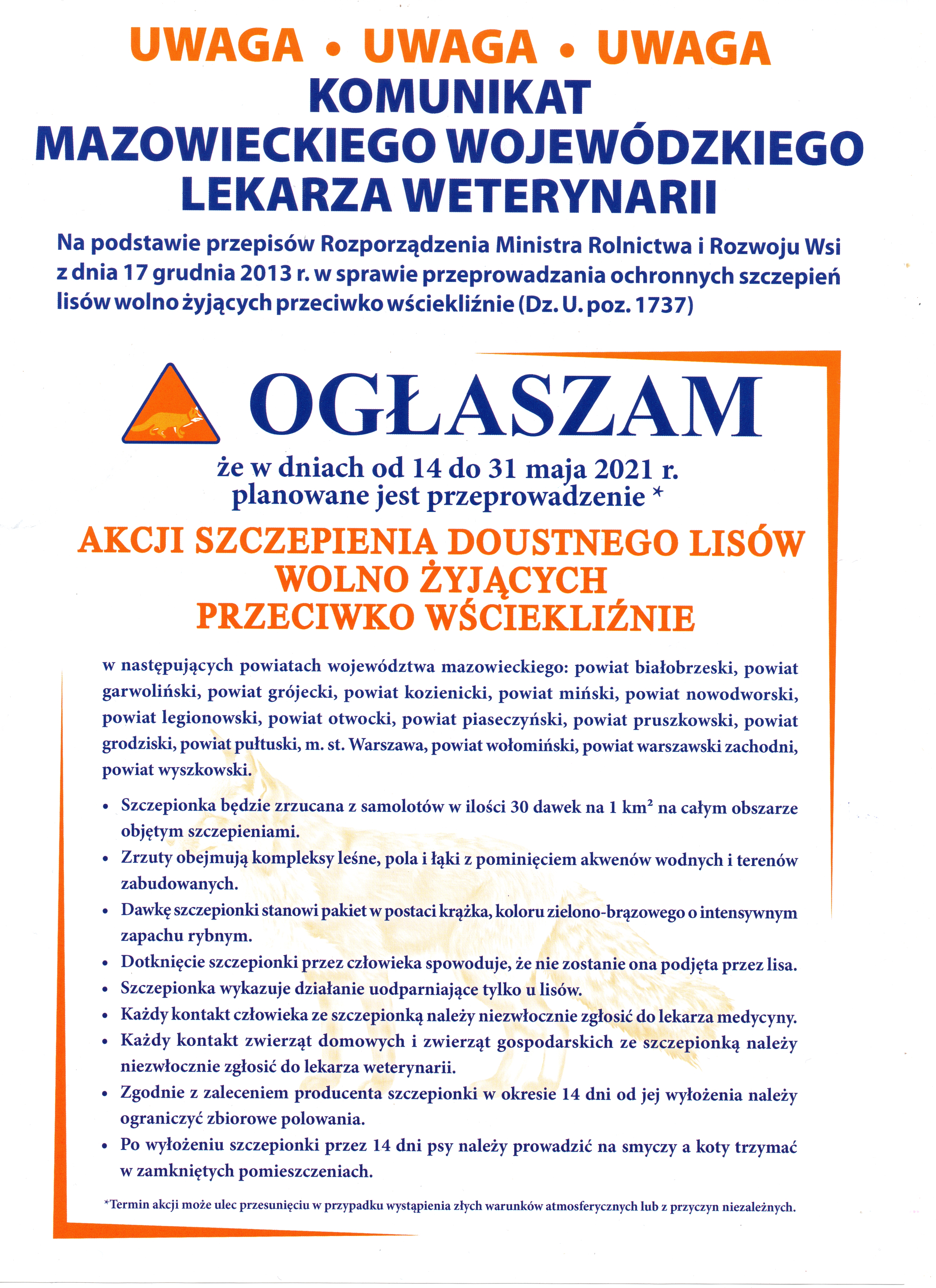 Doustne szczepienie lisów przeciwko wściekliźnie